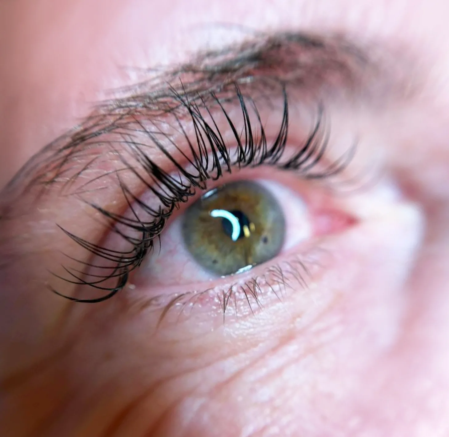 Wimpernverlängerung Hofheim – Katharina Geuppert